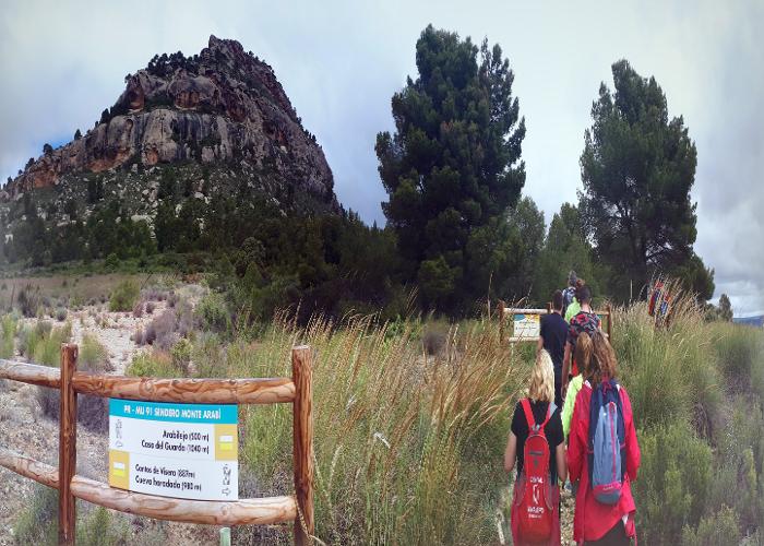 Paseando por la monta�a m�gica 