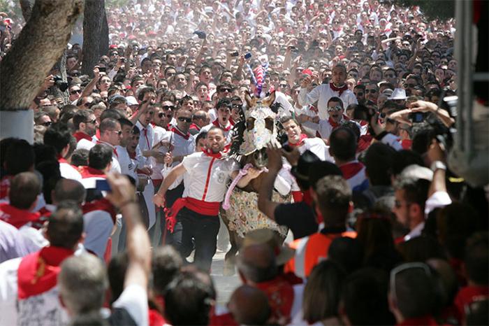 Fiestas de la Sant�sima y vera Cruz, moros y cristianos y caballos del vino