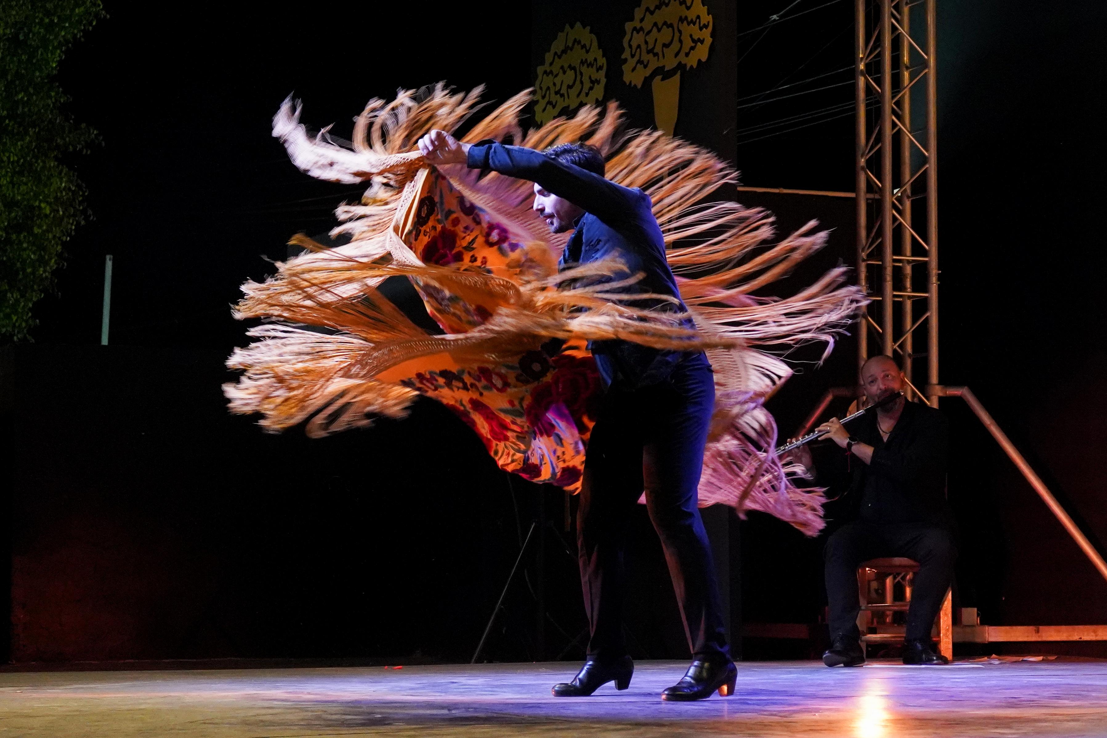 FESTIVAL DE CANTE FLAMENCO DE LO FERRO