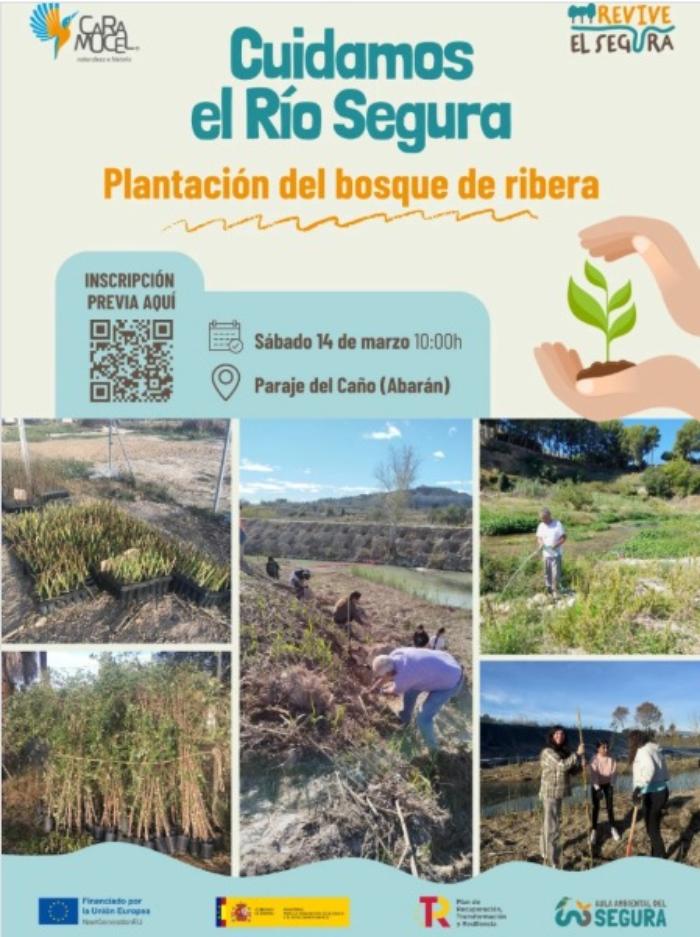 Plantaci�n del bosque de ribera