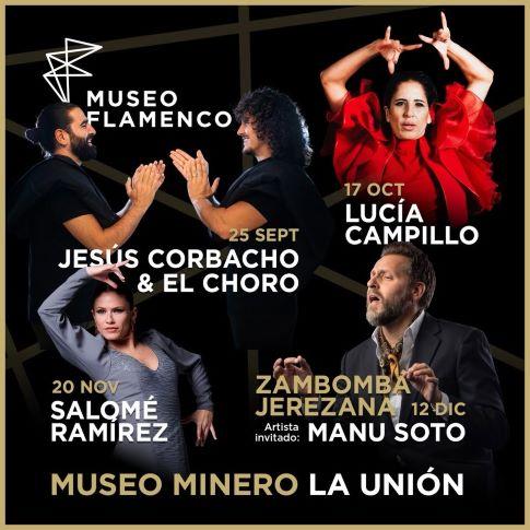 Museo flamenco