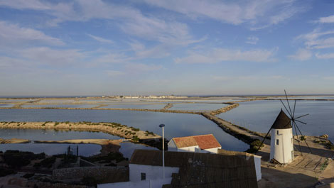 San Pedro del Pinatar