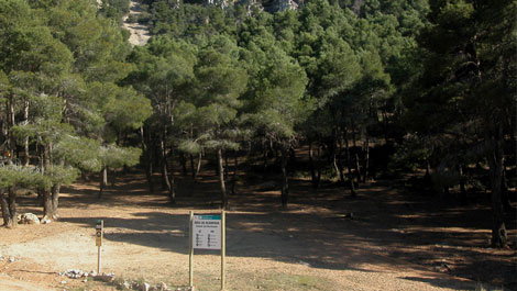 Sierra del Carche