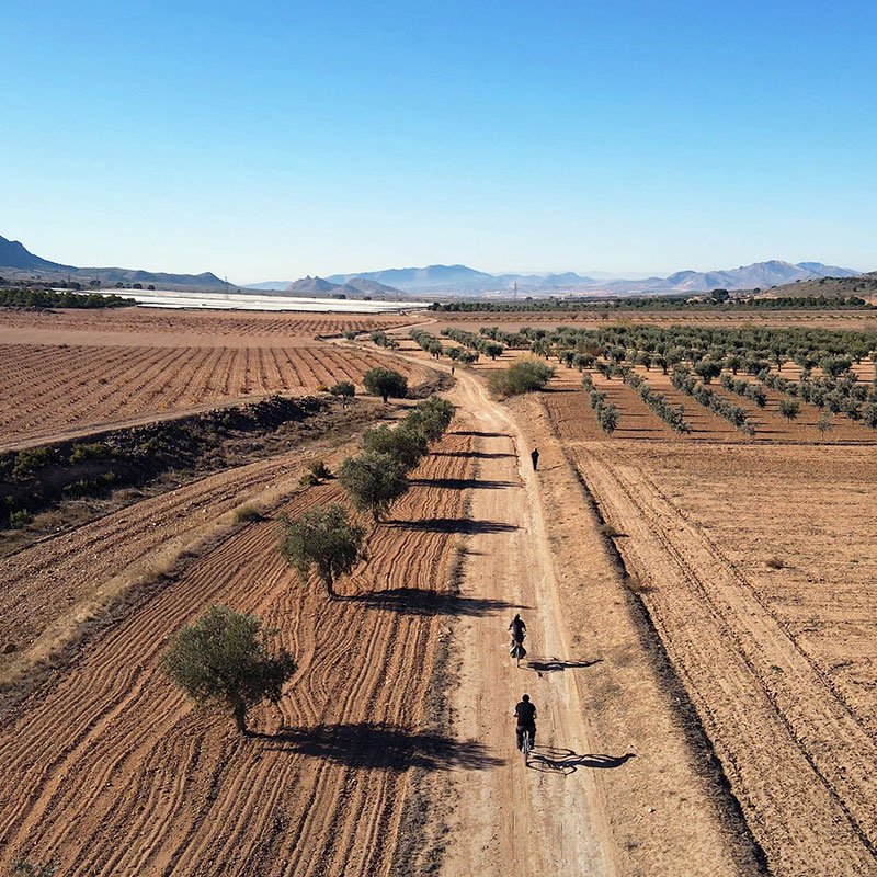 Connection between Greenways: Chicharra Yecla - Cieza