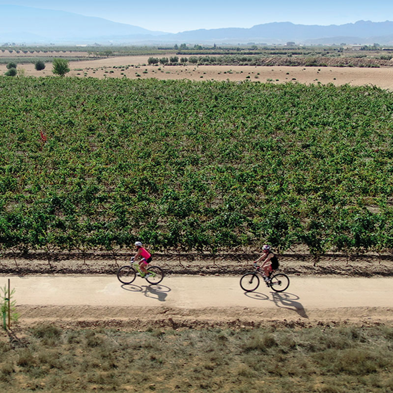 V�a Verde del Chicharra (Yecla)