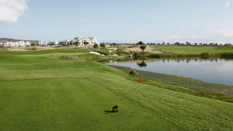 Hacienda Riquelme