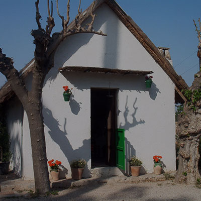 M�s informaci�n sobre Etnograf�a y Antropolag�a