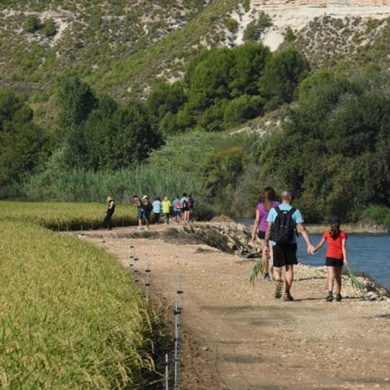 Sendero de El Bayo  (Calasparra)