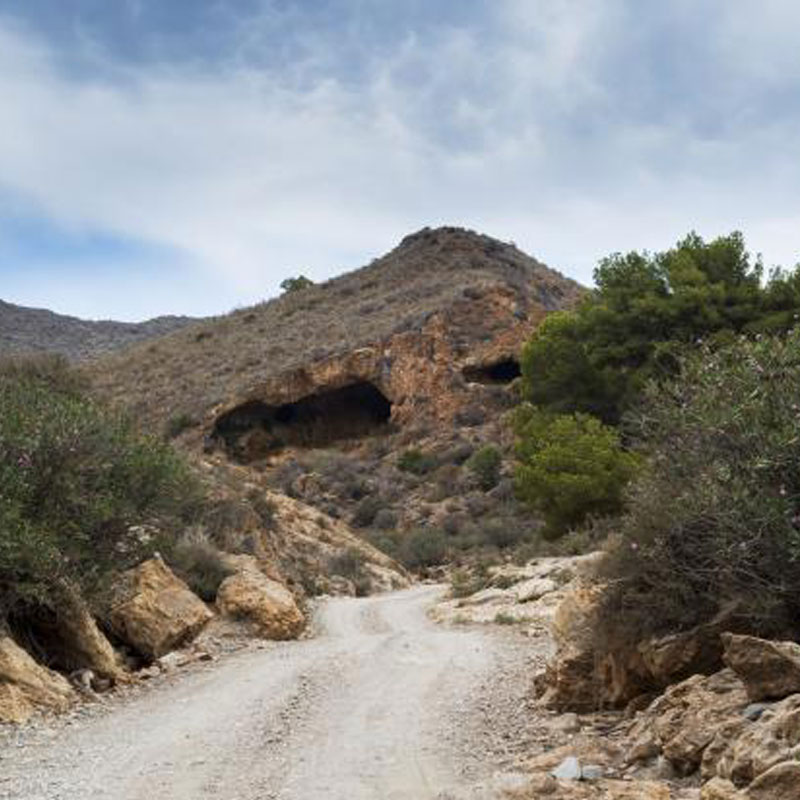 Sendero El Alamillo - La Alameda - Las Balsicas (Mazarr�n)