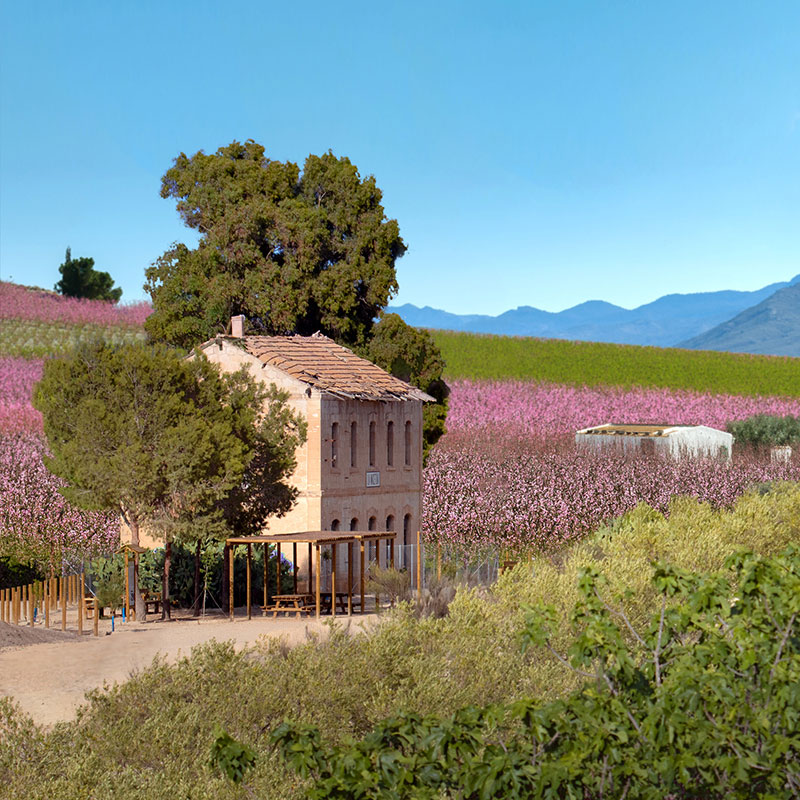 V�a Verde Floraci�n de Cieza