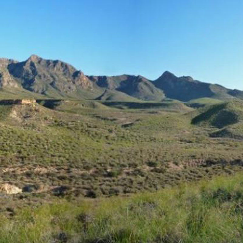 Variante Calas de Bolnuevo - Sierra de las Moreras (Mazarr�n)