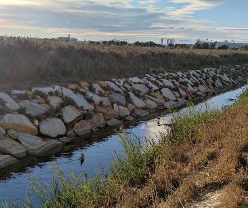 Senda de los Tarays (San Pedro del Pinatar)