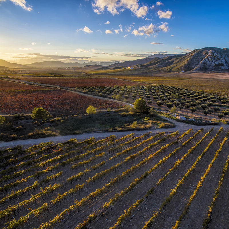 El secreto mejor guardado del oto�o: La Regi�n de Murcia