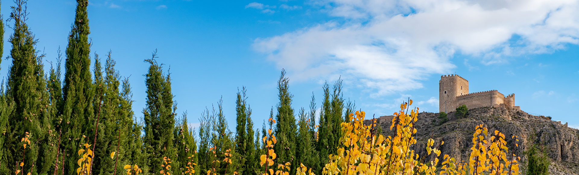 Jumilla Wine Tourism