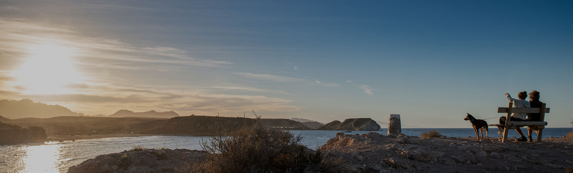 Prop�sitos de A�o Nuevo