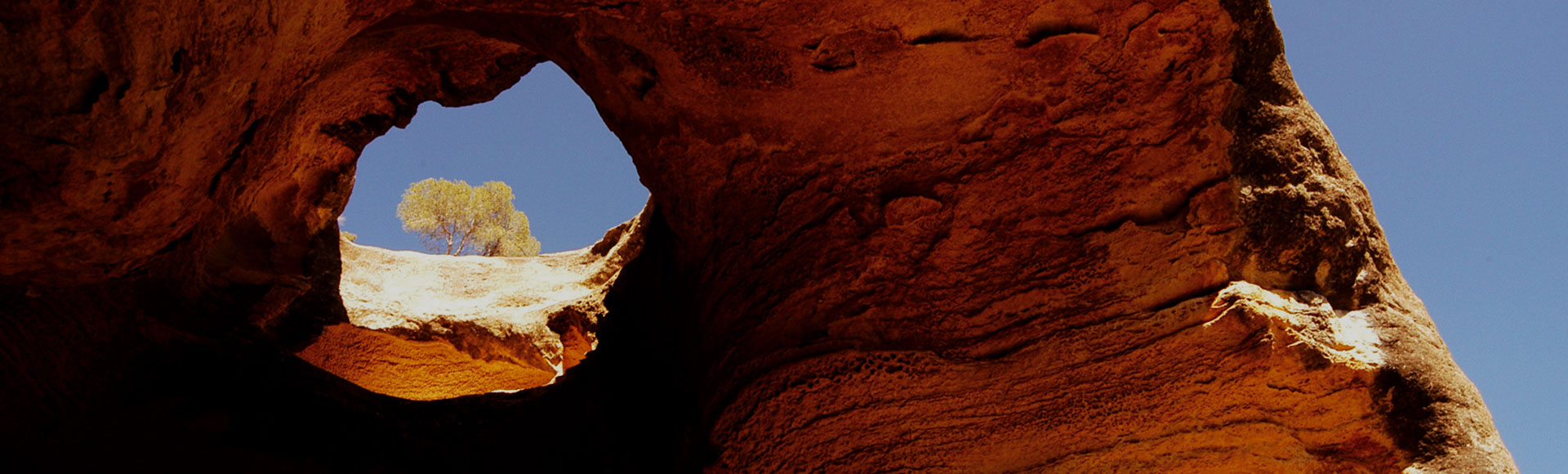 Winetourism What to do Yecla