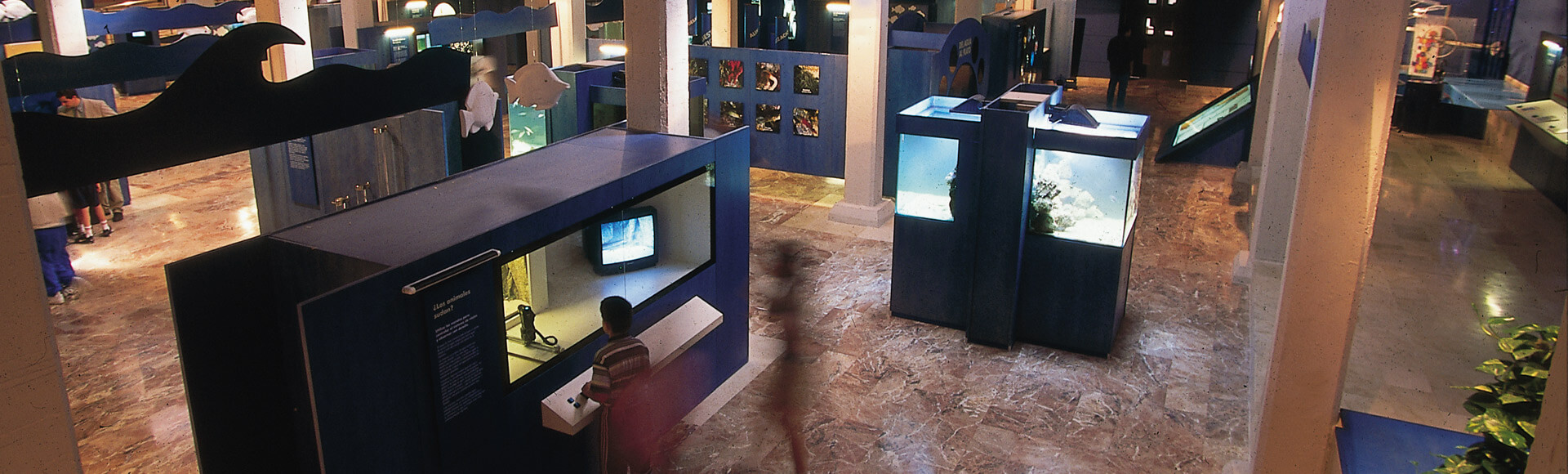 Culture with your family in Murcia