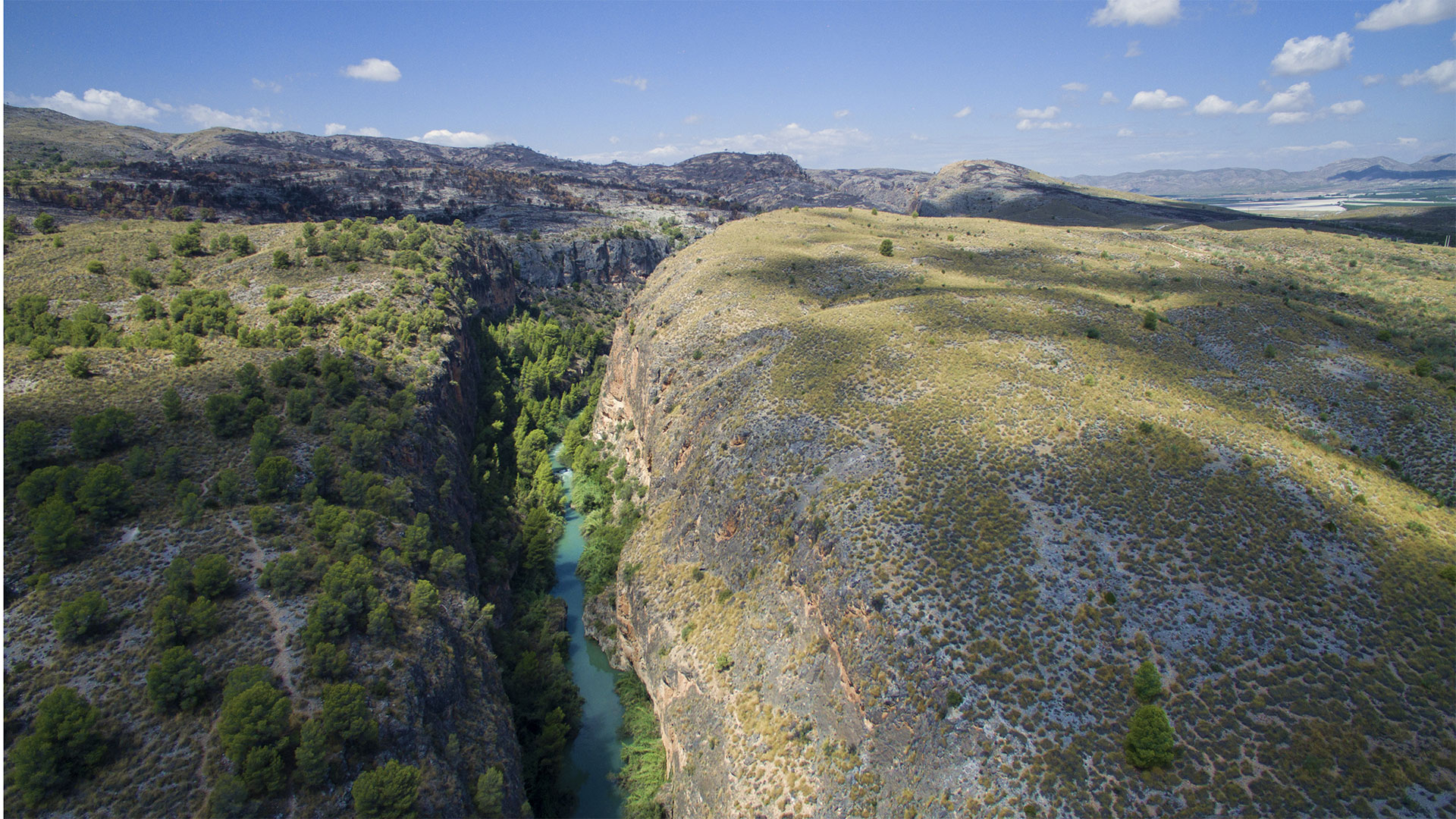 The Region of Murcia for nature lovers