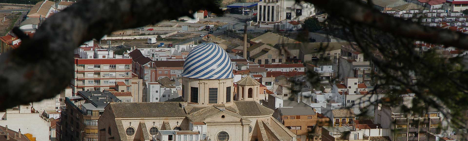 Discovering the Yecla Wine Route