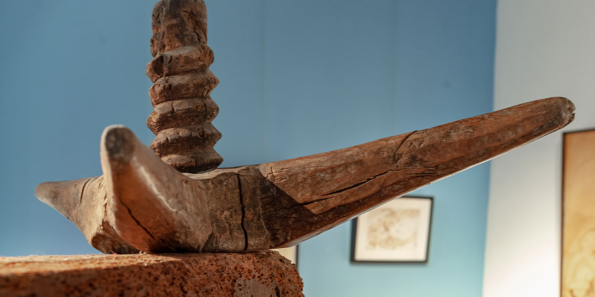 700 a�os de la monastrell