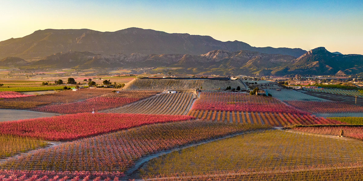 Icono D�COUVREZ-NOUS