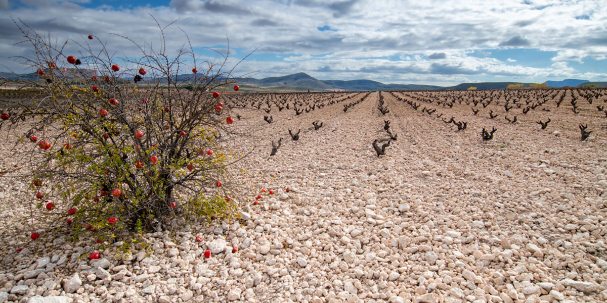 Legendary Landscapes