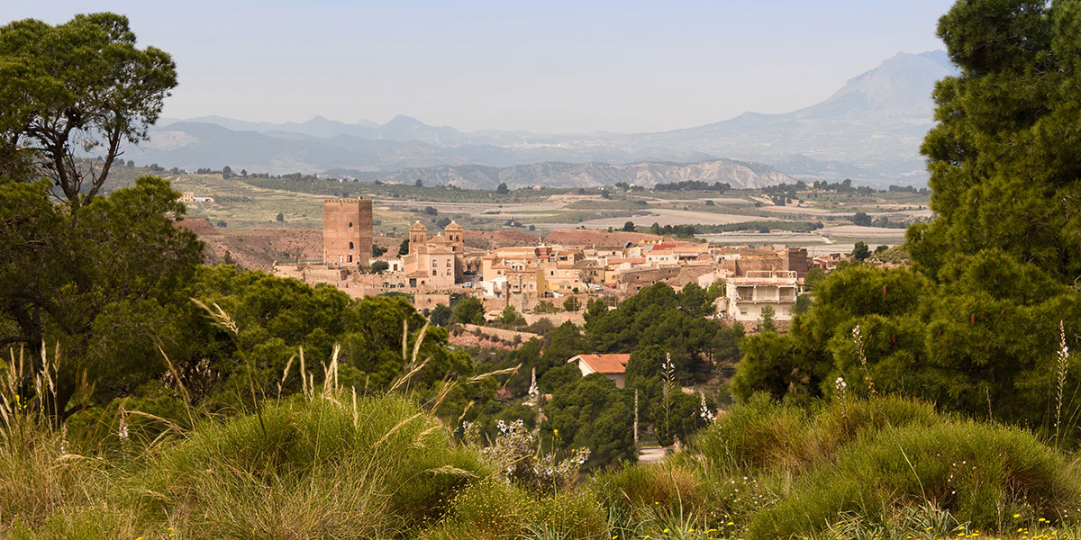 Quelles sont les curiosit�s � d�couvrir?