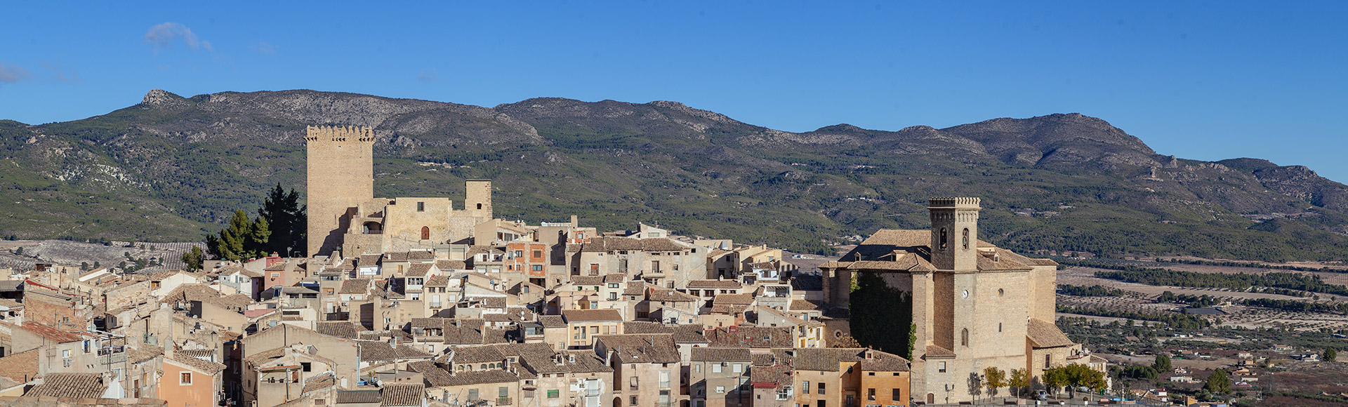 Quelles sont les curiosit�s � d�couvrir?