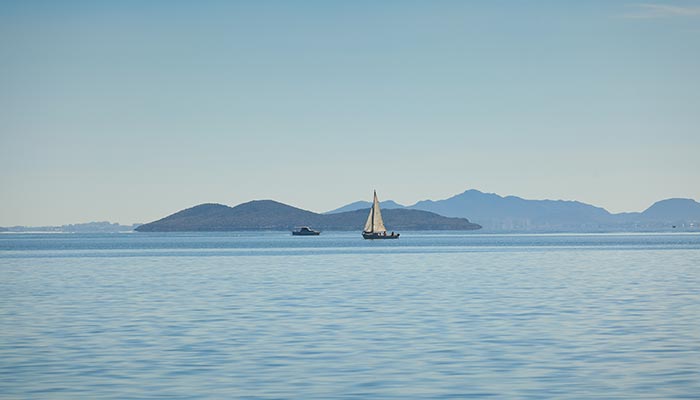 Alquiler y paseos en velero