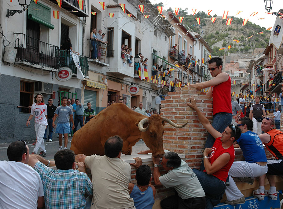 QUE TE PILLA EL TORO