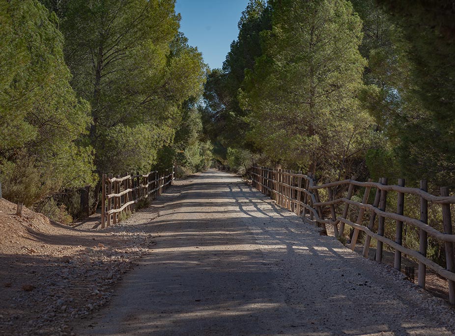 Verde: tu color favorito este invierno