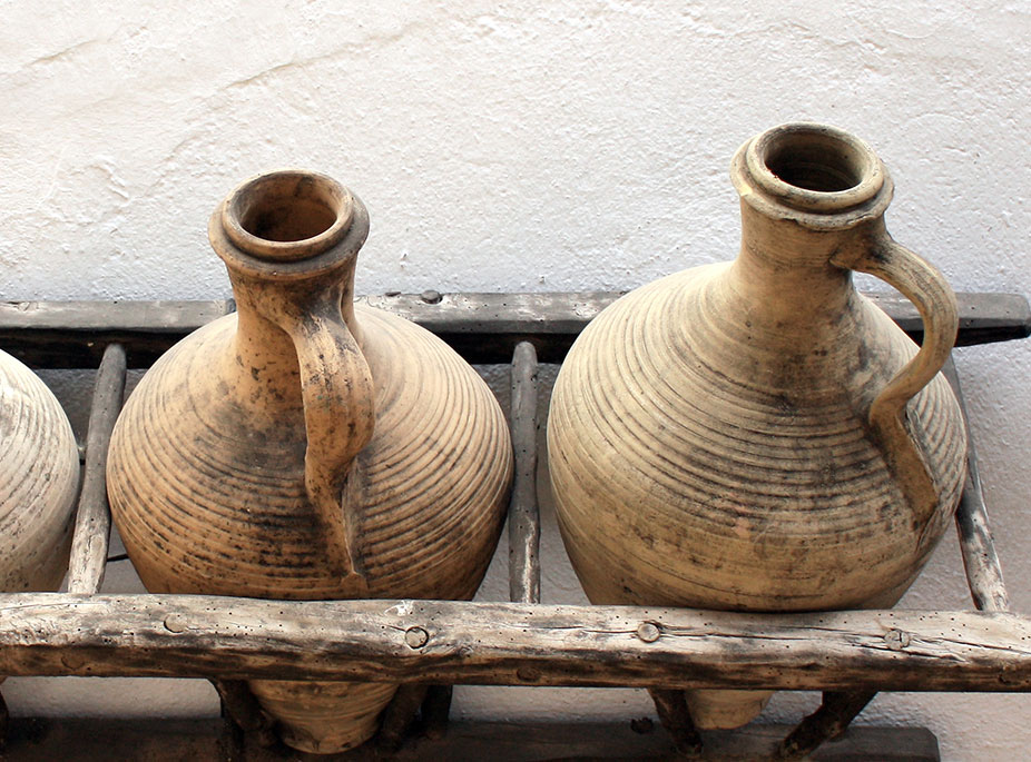 VIAJE A LAS RA�CES