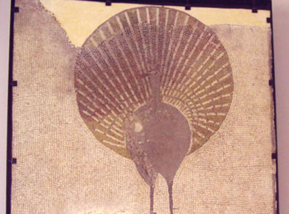 CONOCIENDO EL PASADO