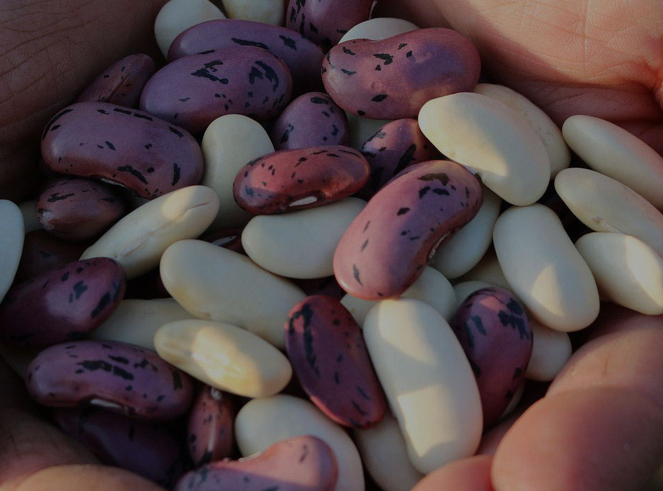 <i>ARROZ CON HABICHUELAS</i> ODER <i>EMPEDRADO</i>