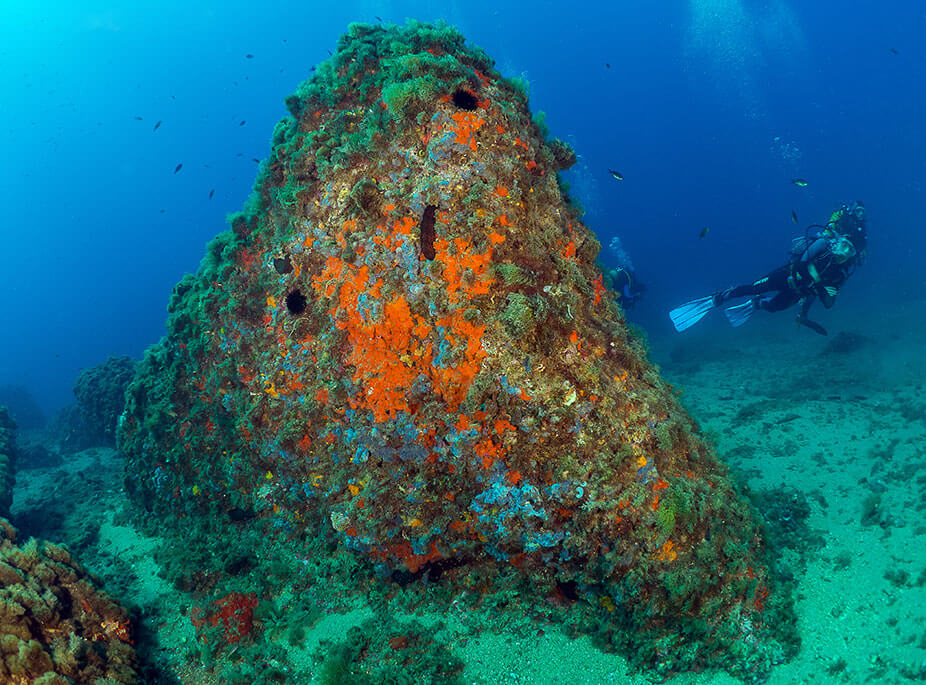 S�LO PARA GENTE ACTIVA