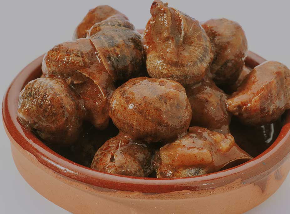 <i>CARACOLES CHUPAEROS</i>