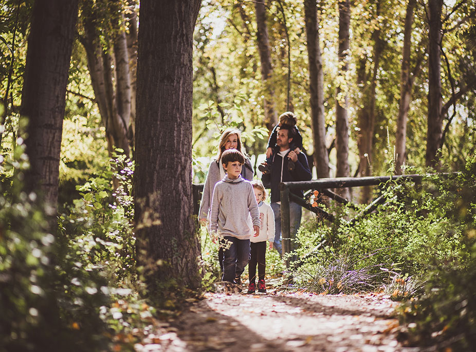 LA V�A VERDE (THE GREEN PATHWAY)
