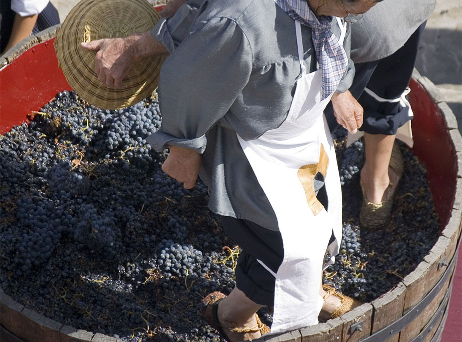 DIE PARTY GEHT WEITER