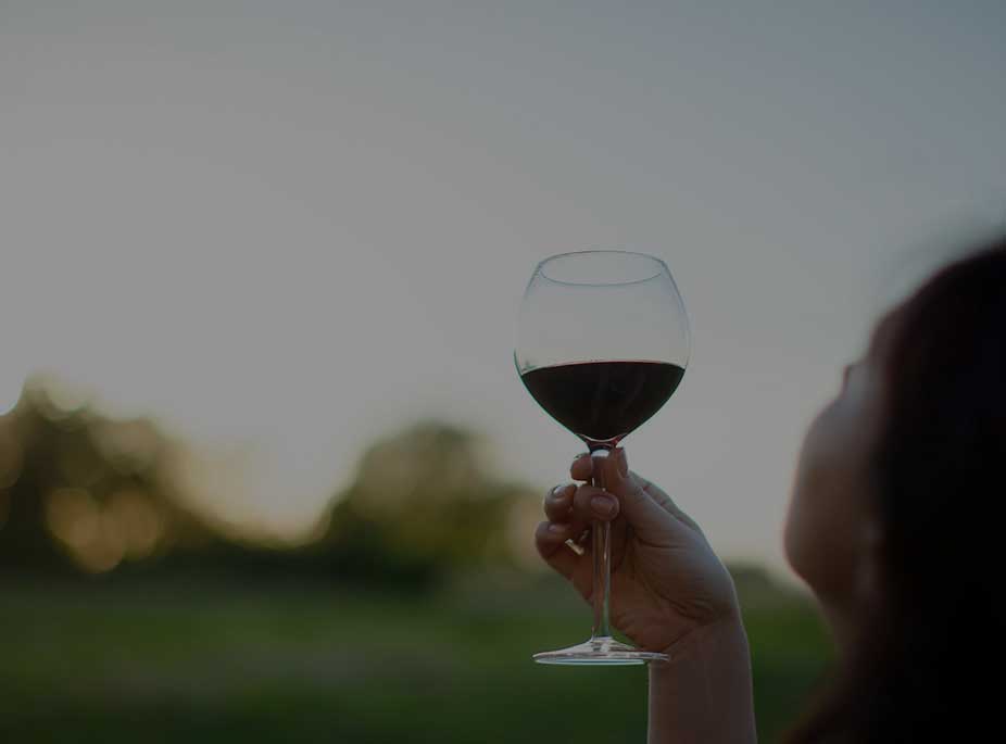 LES VINS <i>D. O.</i>