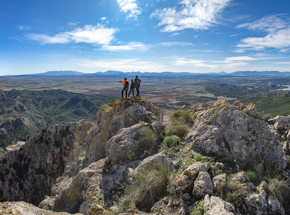 Reactiva