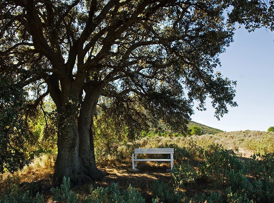 PARA ESP�RITUS LIBRES