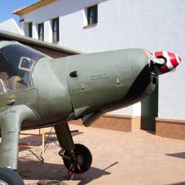 BUCEA EN LA HISTORIA