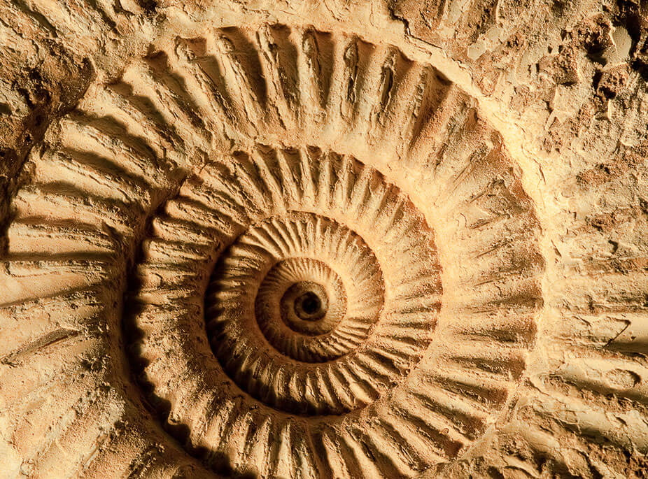 CHERCHEUR DE TR�SORS