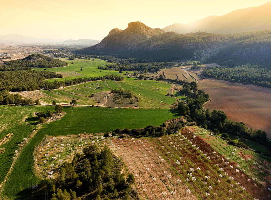 A FAIRY TALE LANSCAPE