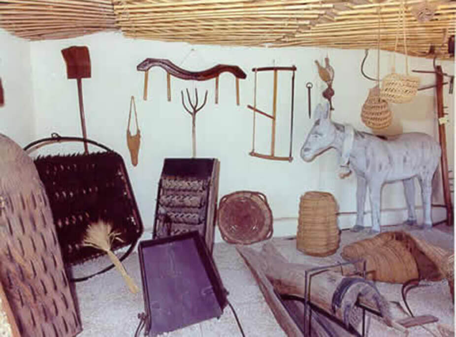 THIS IS ... ESPARTO!