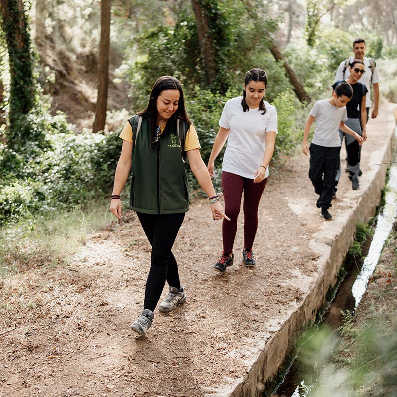 Especies Fauna Eocturismo