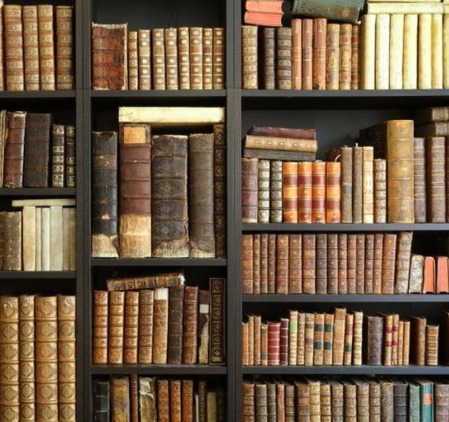 Planes para el d�a del libro