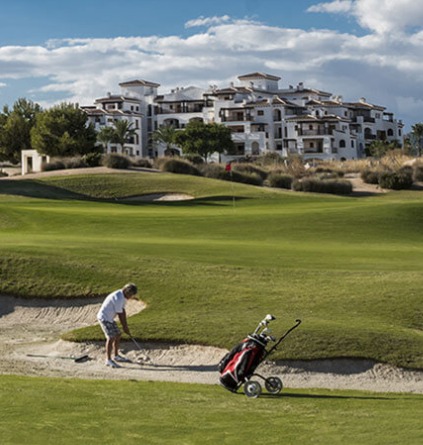 Campos de Golf