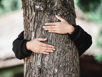 Nature for all five Senses