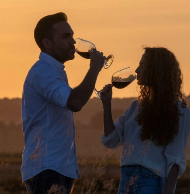 Wine Tourism's guide